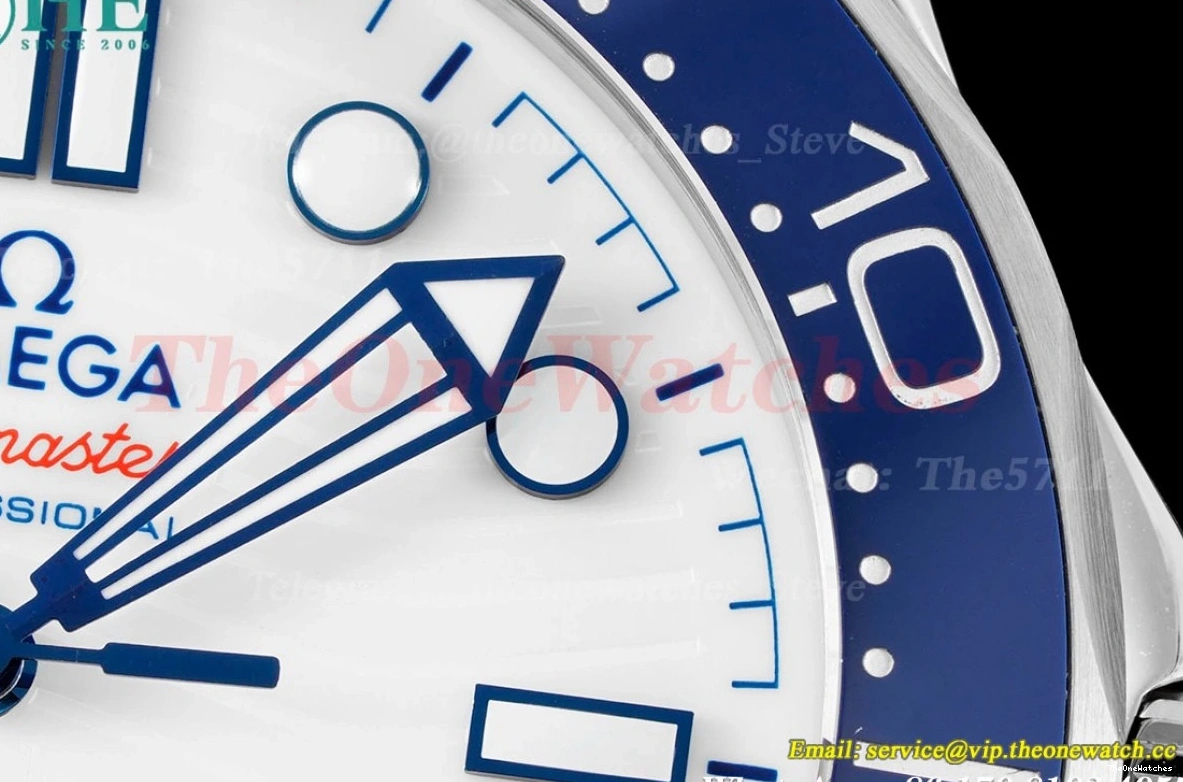 Seamaster Wht A8800 SS SS blue 300m 42mm JVSF 0112